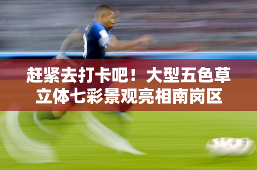 赶紧去打卡吧！大型五色草立体七彩景观亮相南岗区