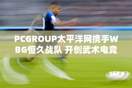 PCGROUP太平洋网携手WBG恒久战队 开创武术电竞新时代